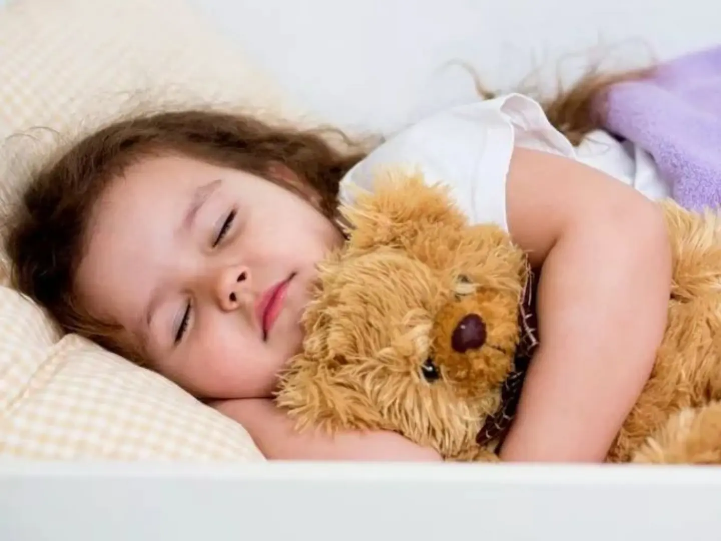 Why are babies particularly attached to plush toys?