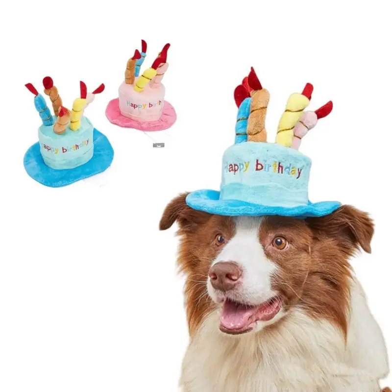 pet birthday hats