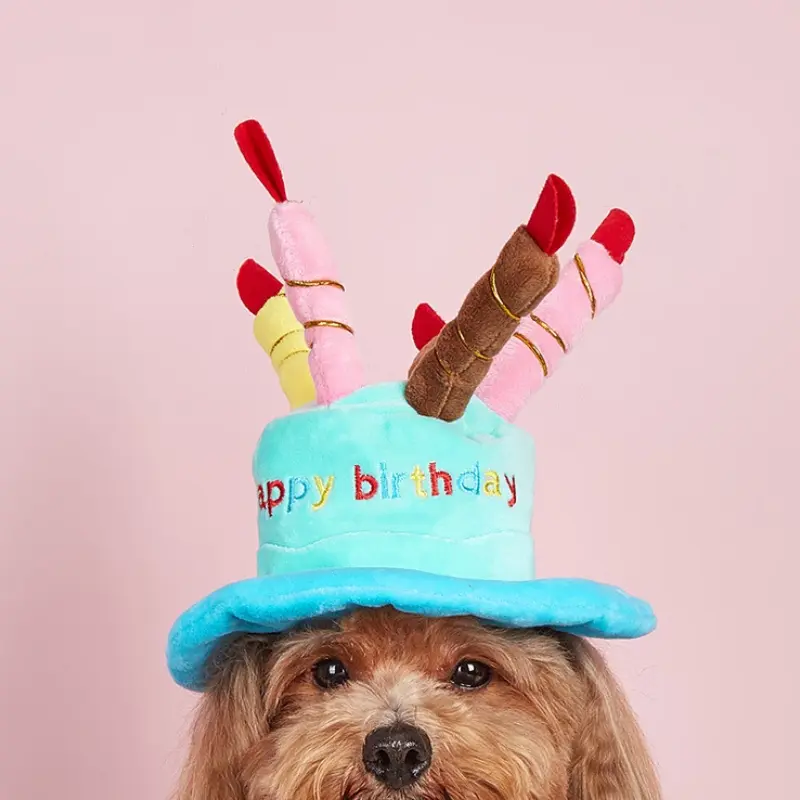 pet birthday hats
