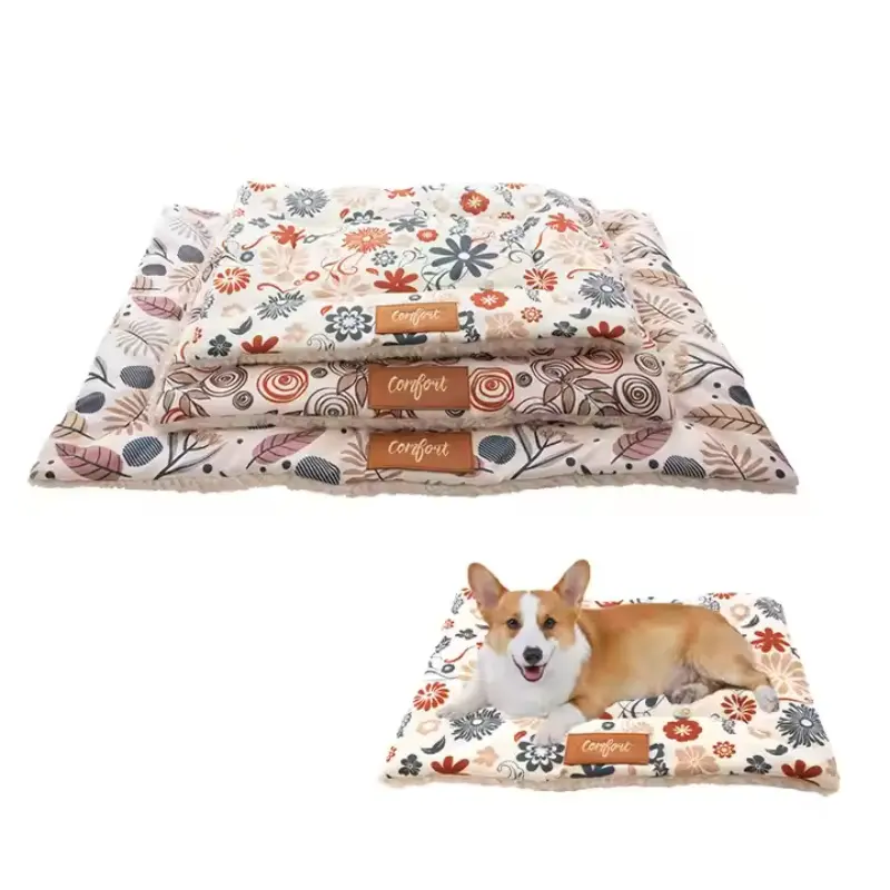 cat mat