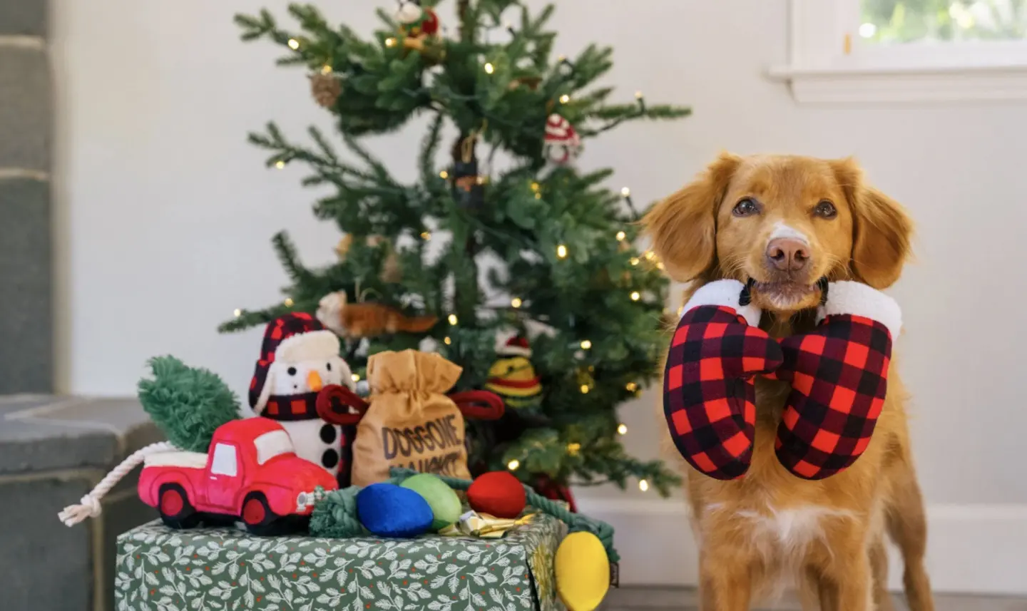 PLAY-Holiday-Collection-Dog.jpg