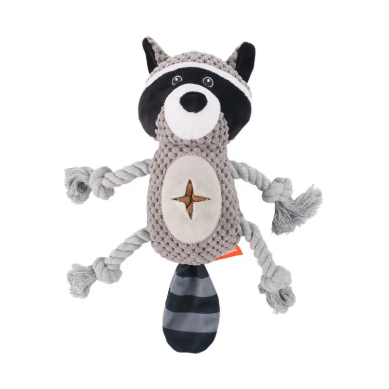 Raccoon