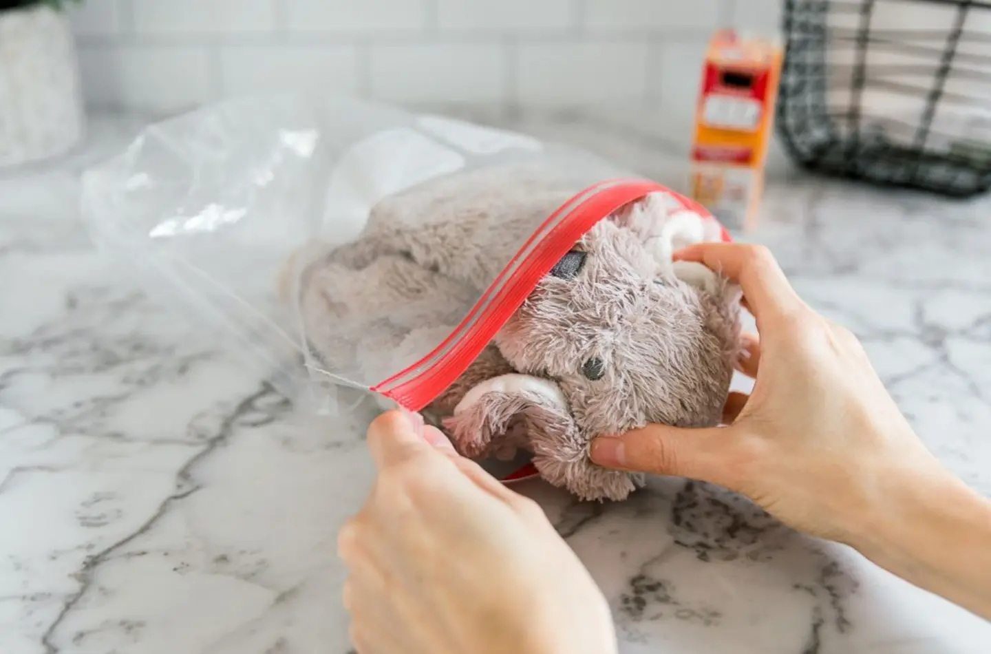 how-to-clean-stuffed-toys-2146217-09-6a95746ce3734f92ab35347ff2c888d5.jpg