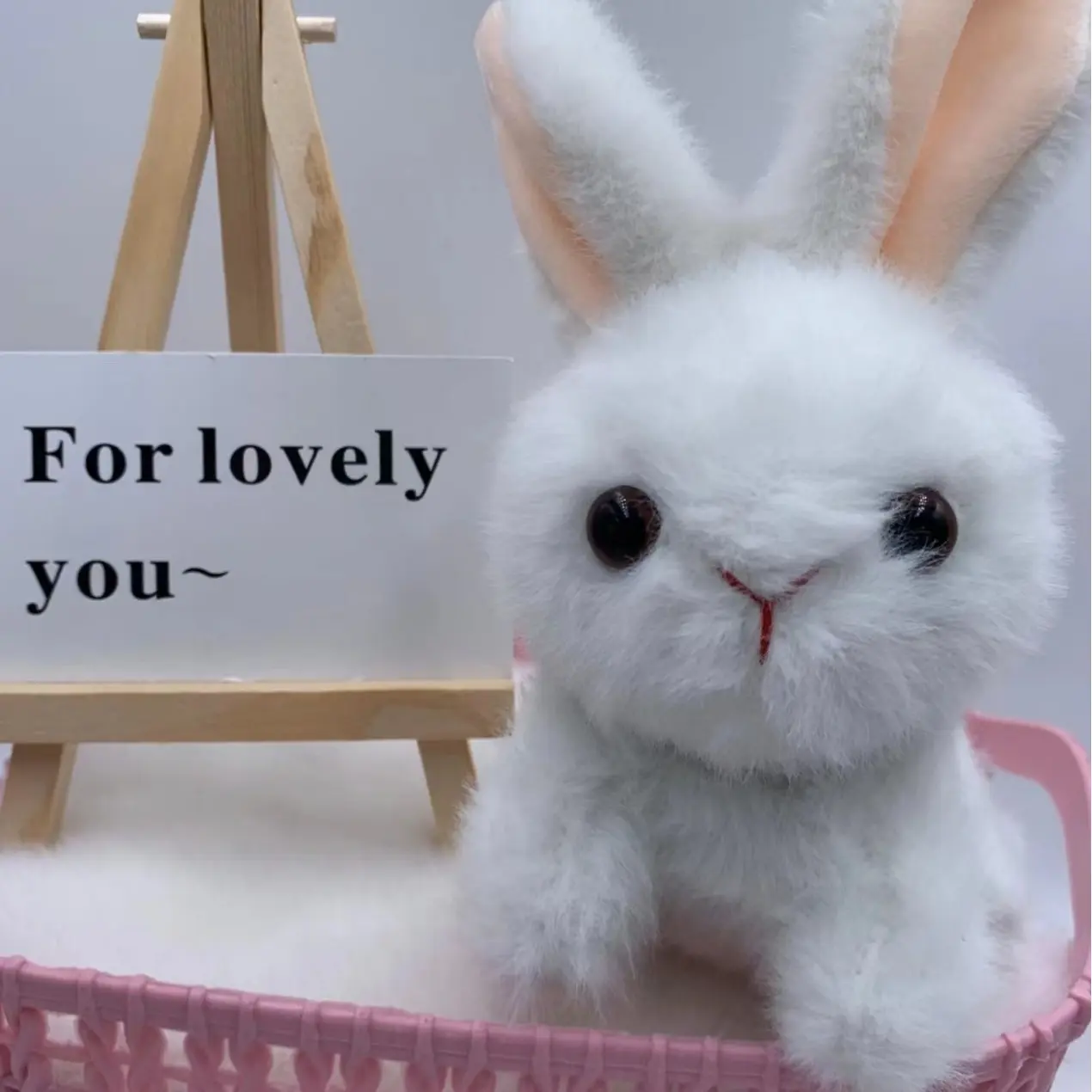 rabbit plush toy.jpg
