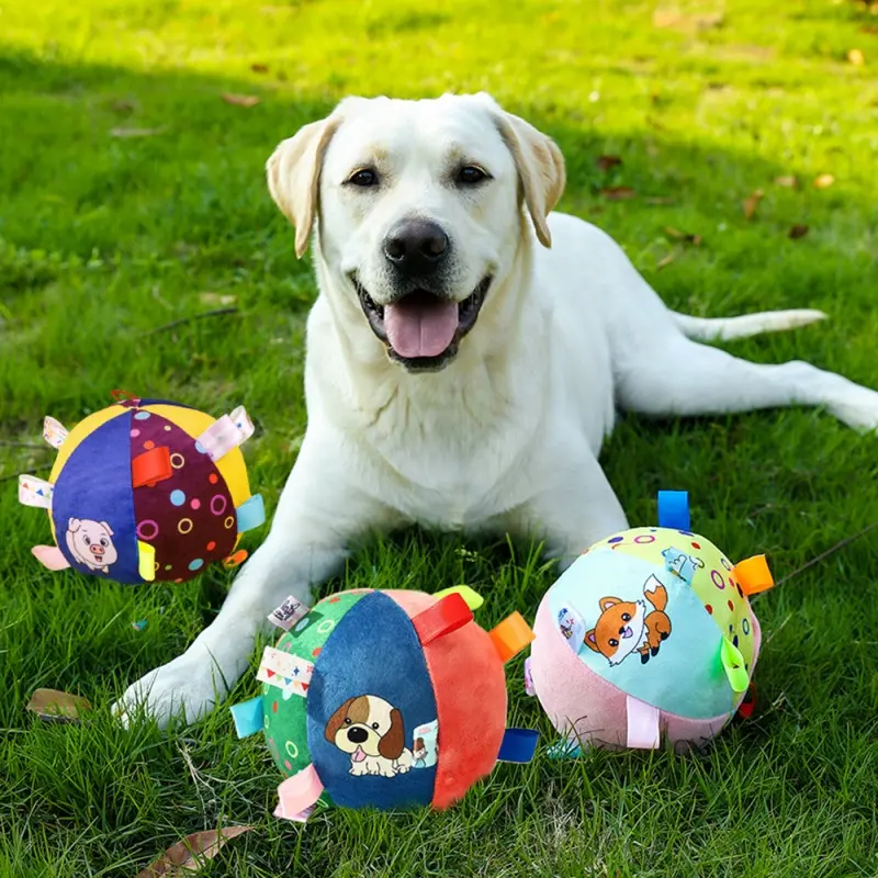 ribbon pet toy