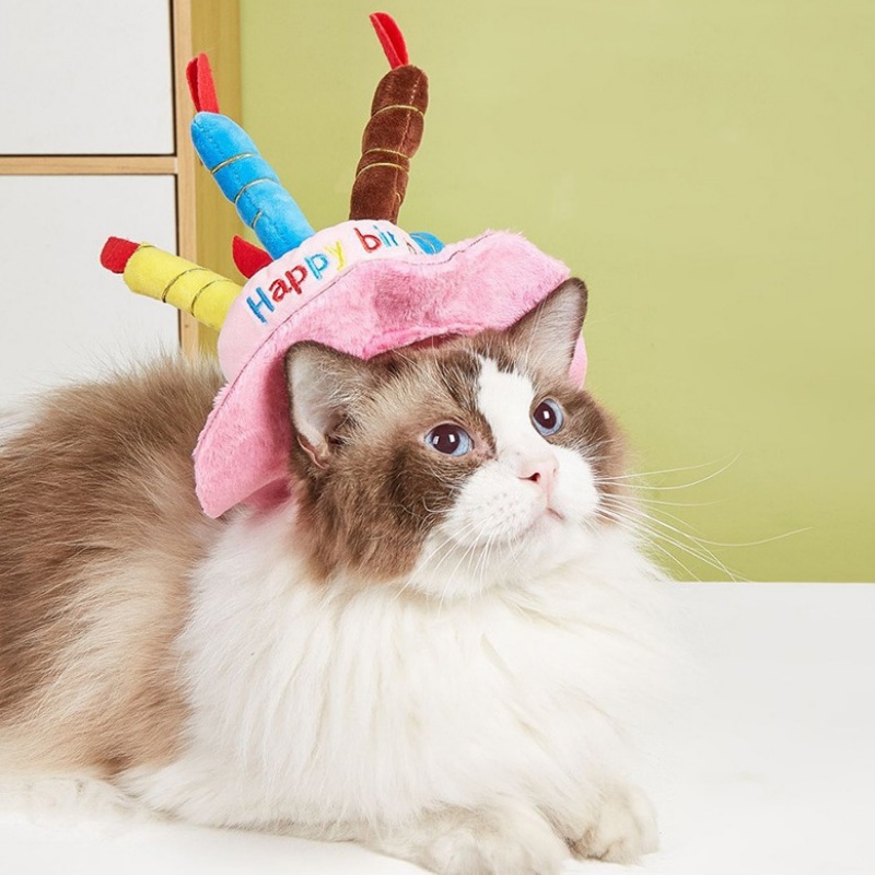 dog birthday hats