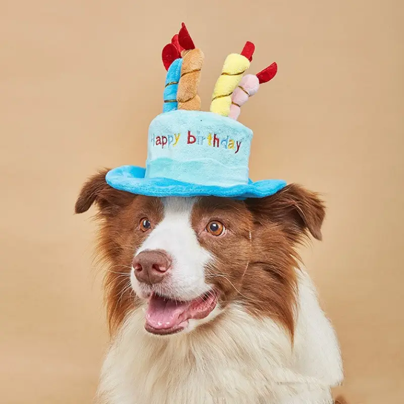 animal birthday headwear